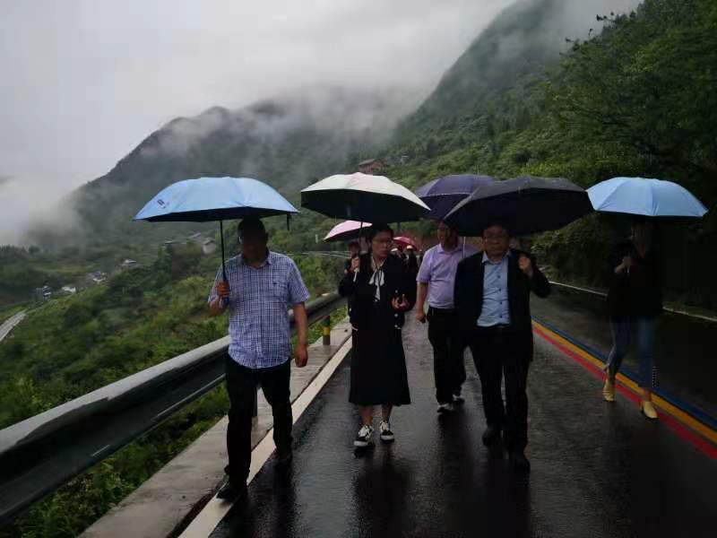 1621394671436060569.jpg 1621394671436060569.jpg