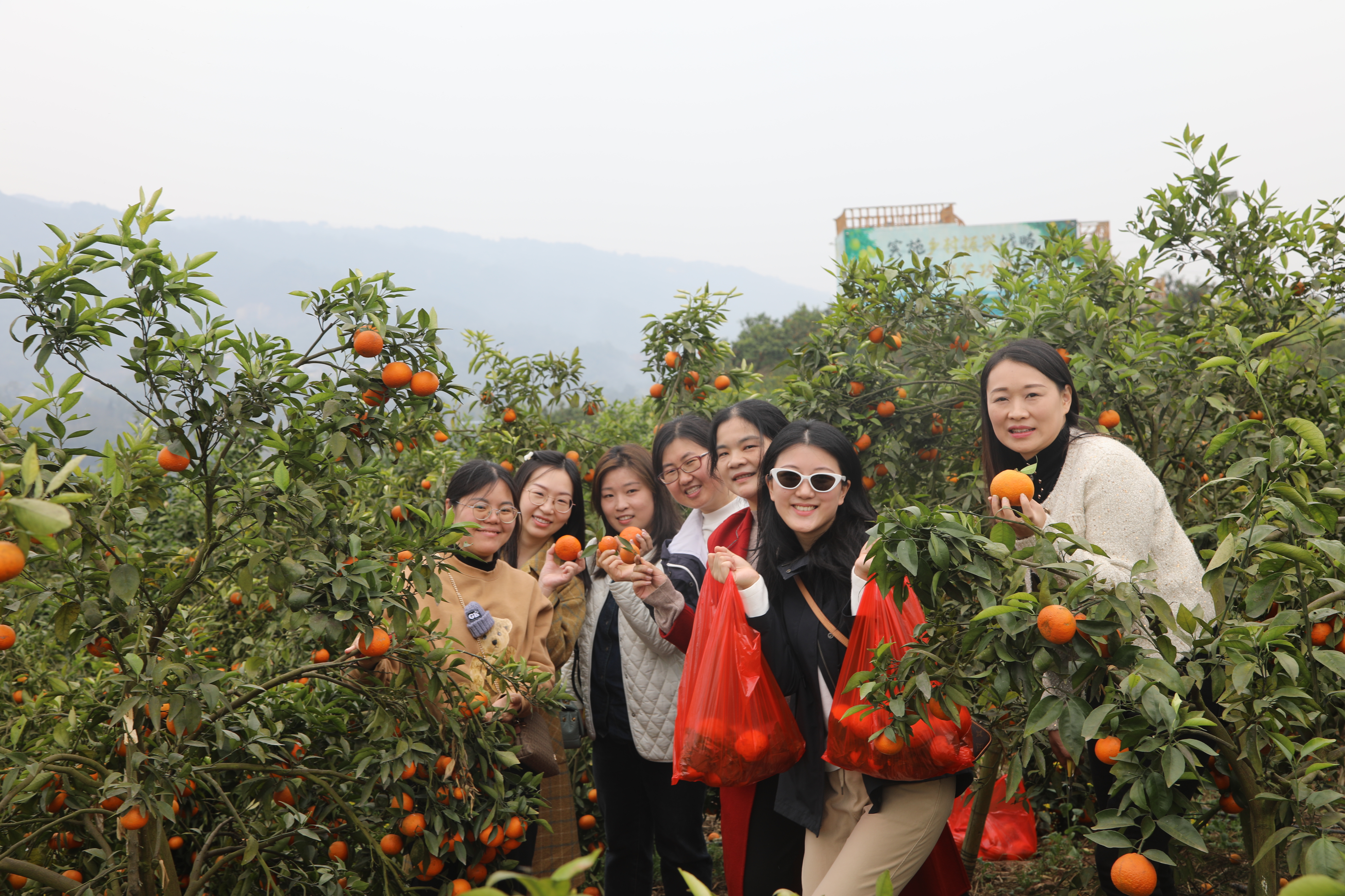 LalS_1711015092390027504.jpg LalS_1711015092390027504.jpg