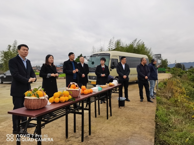 nkUm_1736216730909054742.jpg 2.1.jpg