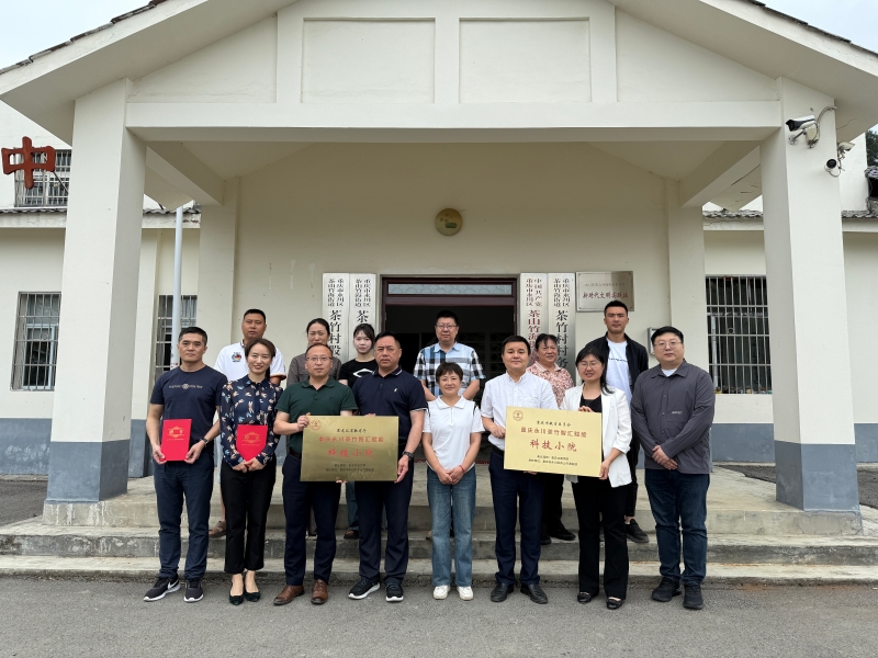 roSu_1748697047272054745.jpg 2.jpg