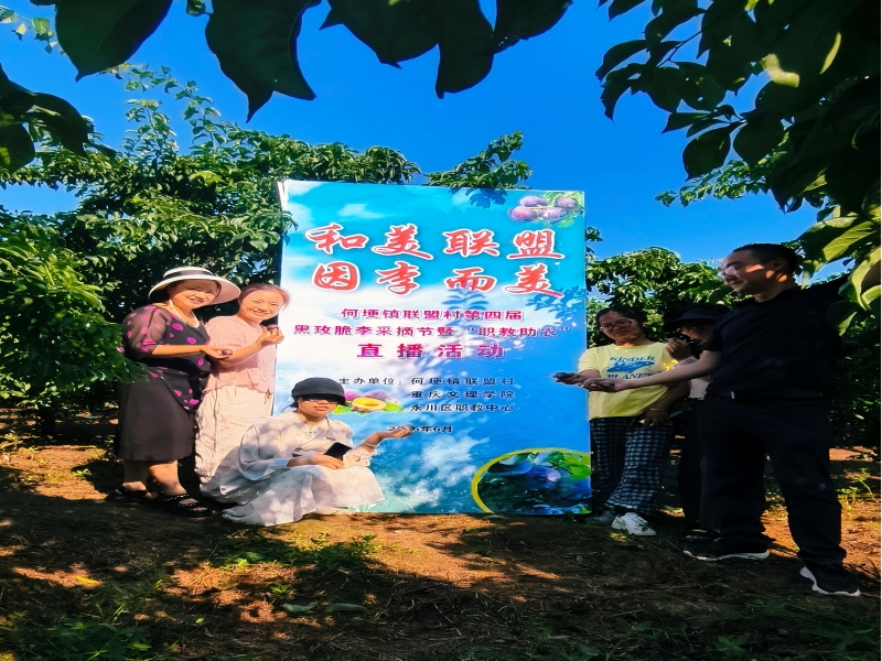 sVMu_1750209571741045683.jpg 图1.jpg